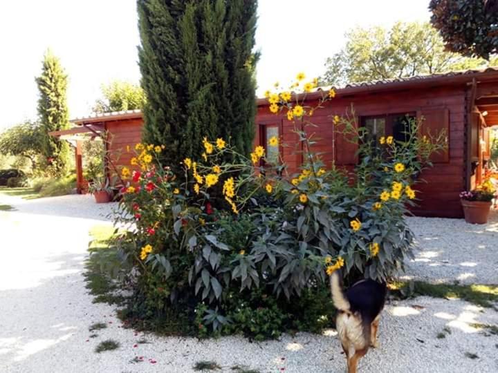 Il Casale Di Rosaria Hotel Zagarolo Buitenkant foto